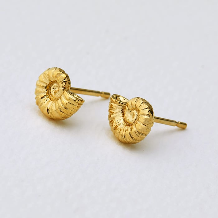 paper shot of a gold plated Ammonite Stud Earrings by Alex Monroe Jewellery