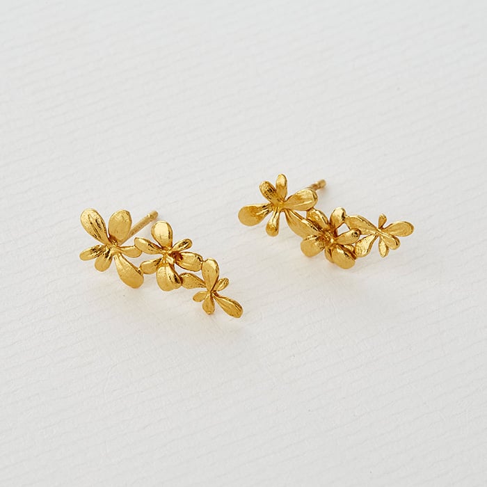 paper shot of Sprouting Rosette Stud Drop Earrings by Alex Monroe Jewellery
