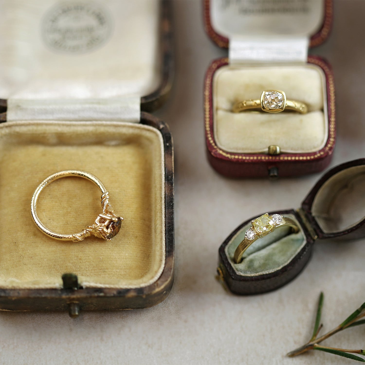 alex mornoe one of a kind diamond rings in ring boxes