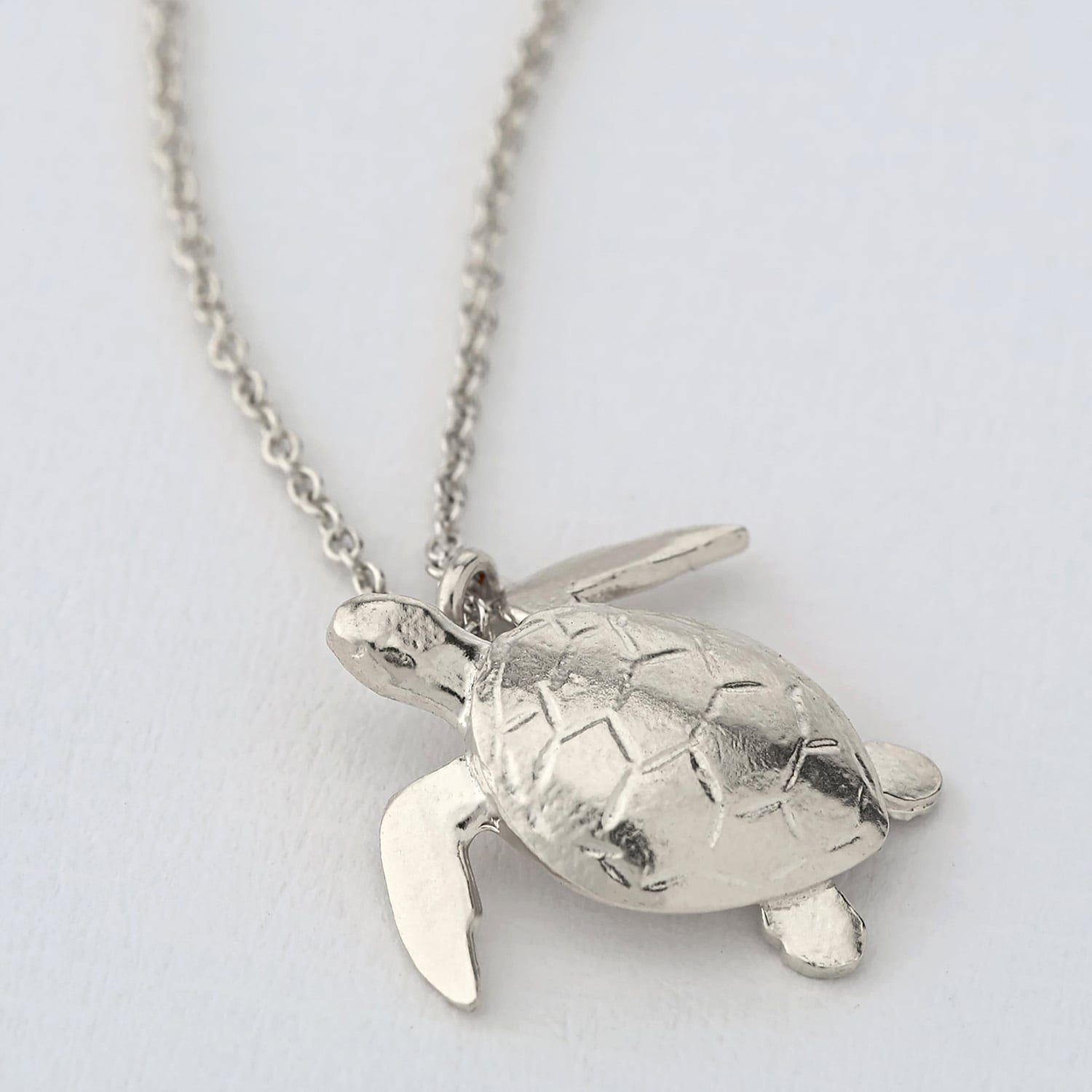 paper shot of Sea Turtle Necklace in sterling silver by Alex Monroe Jewellery